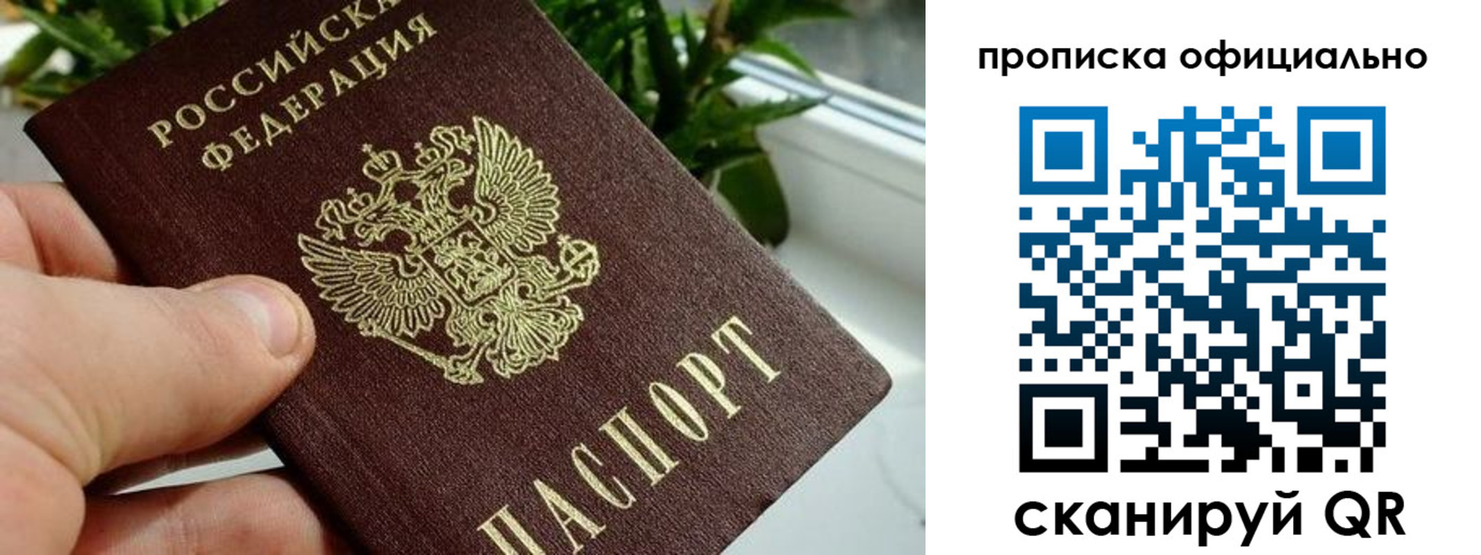 прописка поиск в Белорецке